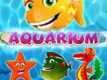 Aquarium