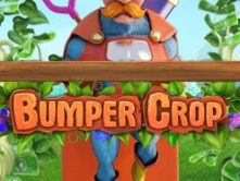 Bumper Crop