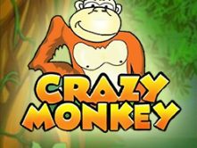 Crazy Monkey