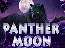 Panther Moon