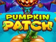 Pumpkin Patch