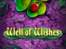 Well Of Wishes